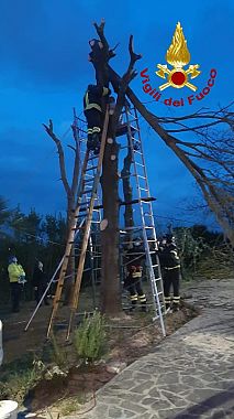 L'intervento dei vigili del fuoco 